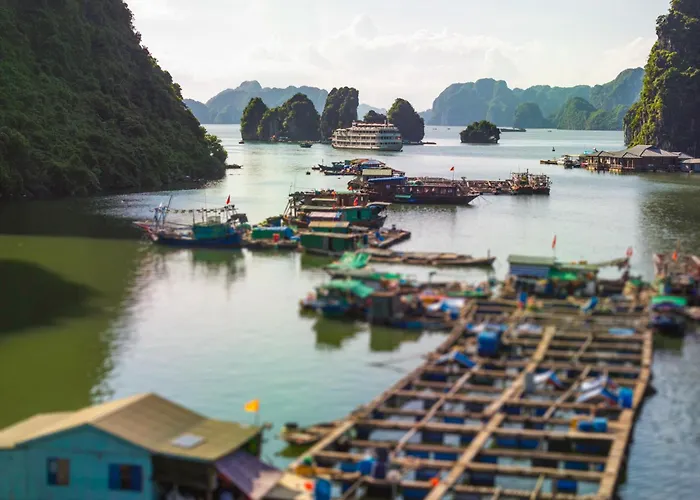 The Au Co Cruise 2 - And Lan Ha Bays Ha Long